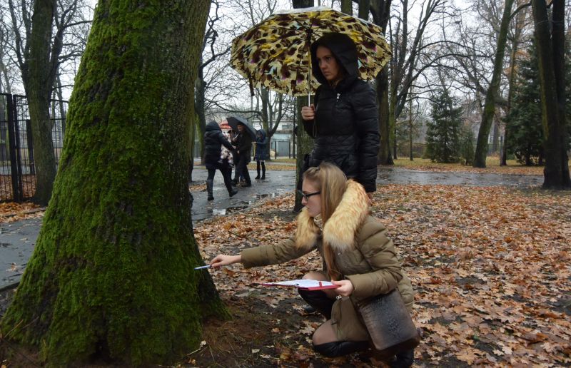 Польские коллеги поделились с гурьевчанами передовым опытом ухода за деревьями