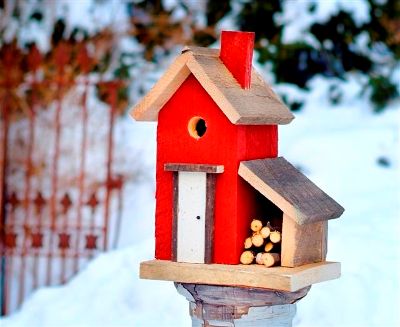 Помогите птицам обрести на зиму домики!