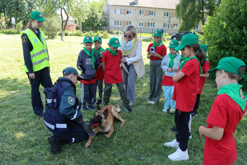 В Петровской школе состоялся традиционный смотр-конкурс дружин юных пожарных школьных и дошкольных объединений «Горячие сердца – 2025», посвящённый 80-летию Великой Победы и 376-й годовщине пожарной охраны России