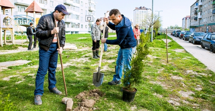Деревьев в Гурьевском округе стало больше
