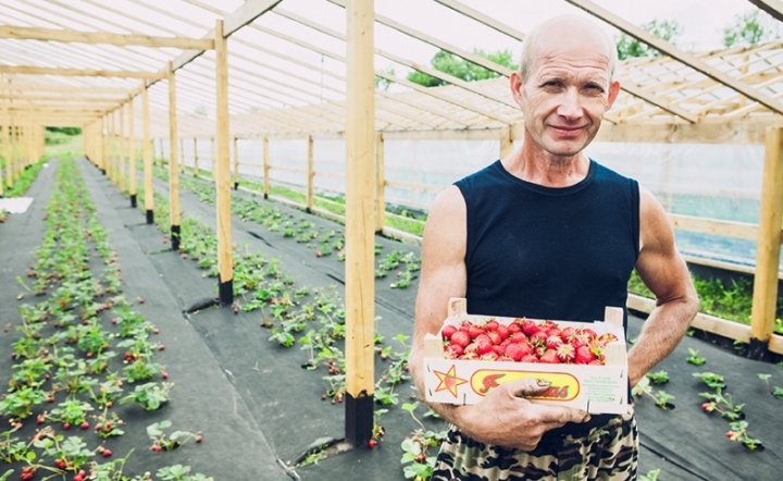 Поверьте на слово: самая вкусная клубника растет у нашего фермера Владимира Вологжанина. Сочная, сладкая и экологически чистая.