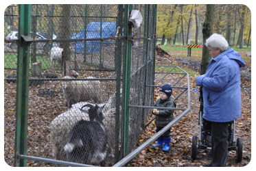 Готов ли зоопарк в Гурьевске к зиме?