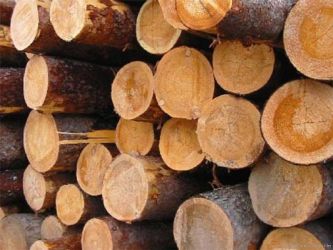 Купля-продажа, дарение и иные сделки с древесиной, заготовленной для собственных нужд, с 1 февраля  2014 года являются недействительными в соответствии с новыми нормами гражданского законодательства.