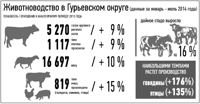 Животноводство в Гурьевском округе (данные за январь-июль 2014 года)