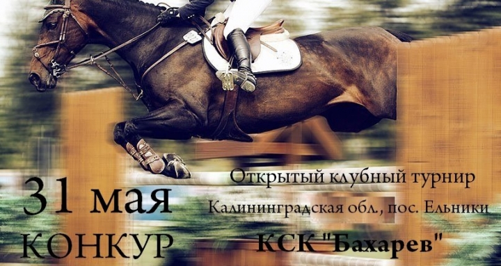 В субботу, 31 мая, в поселке Ельники Гурьевского округа прошло очень зрелищное мероприятие - второй открытый турнир по конному спорту «Весенний дебют».