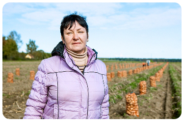 Во время массовой уборки картофеля Галина Захароване уходит с поля